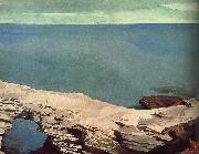 Winslow Homer Natural Bridge china oil painting reproduction